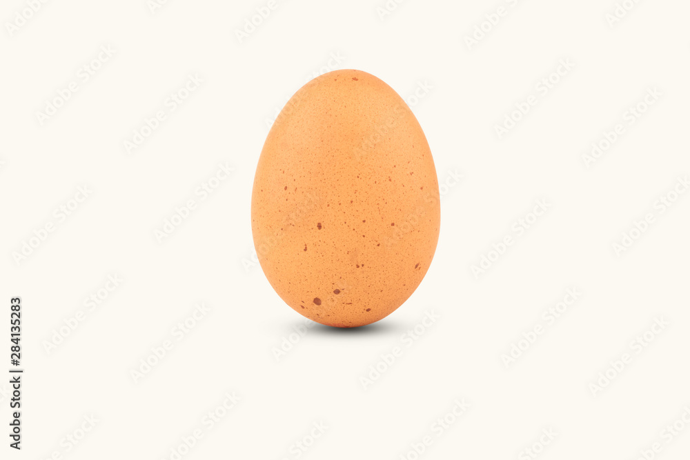 single brown chicken egg single brown chicken egg