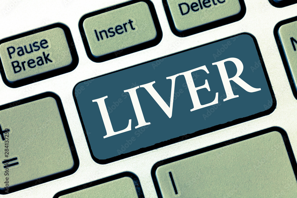 Writing note showing Liver. Business photo showcasing Large lobed glandular organ in the abdomen of vertebrates Produce bile. Writing note showing Liver. Business photo showcasing Large lobed glandular organ in the abdomen of vertebrates Produce bile.