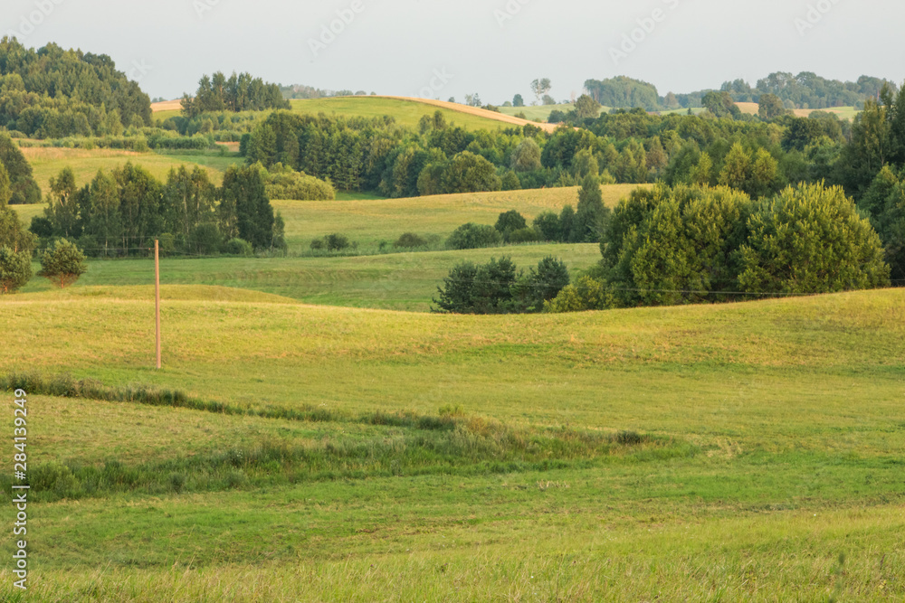 Nature landscape of wild fields in Lithuania during summer time on sunny weather 