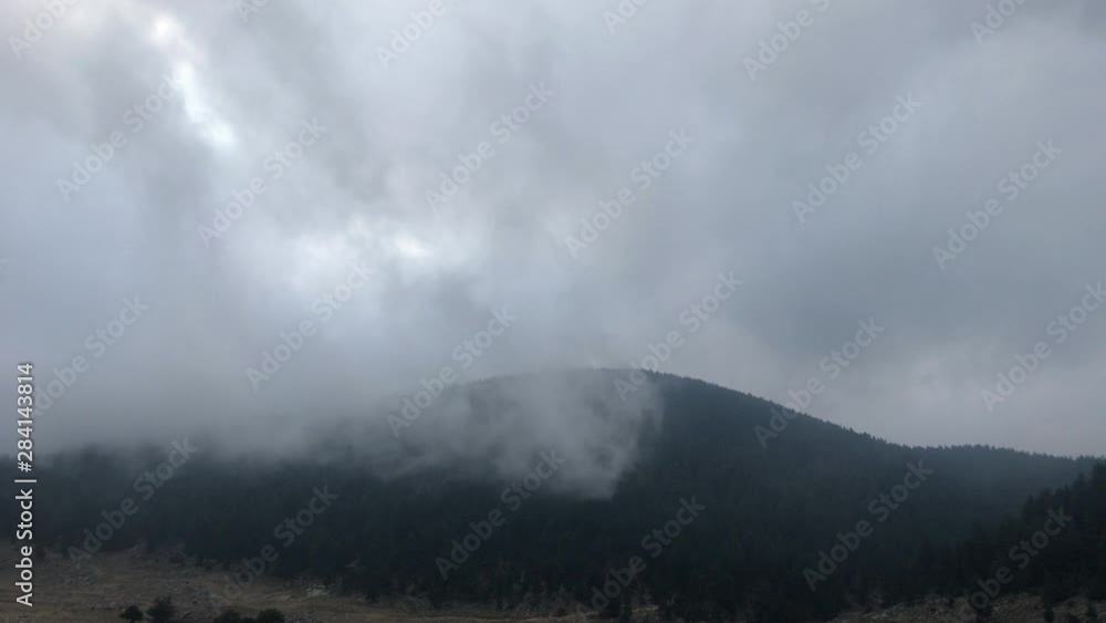 Winter forest time lapse on the Dolomites Winter forest time lapse on the Dolomites