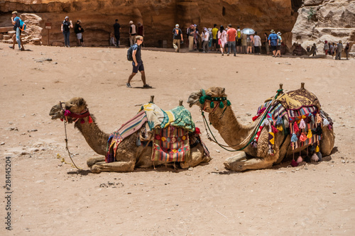 Petra, Jordan - May, 2019: Horse Carriange Brings Tourists Into the Treasury Basin.