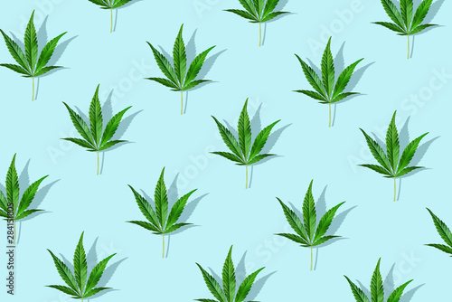 Trendy sunlight CBD pattern with green leaf cannabis on a light blue background. Minimal CBD OIL concept