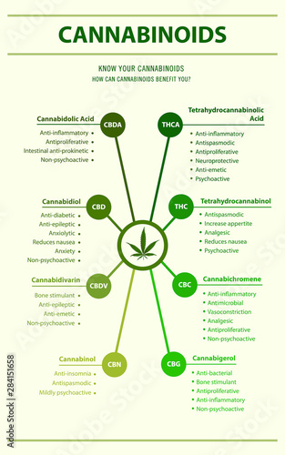 Cannabinoids Benefits You vertical infographic