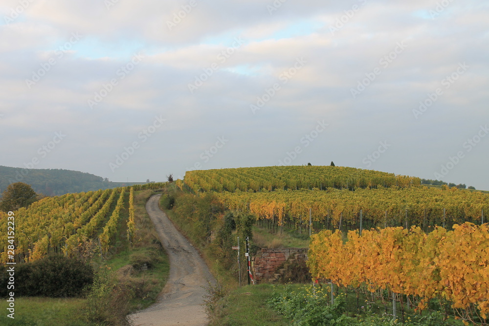 Herbst über den Hügeln von Bad Dürkheim