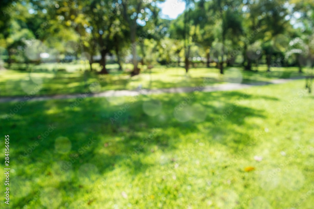 Fototapeta premium defocused bokeh background of garden trees in sunny day
