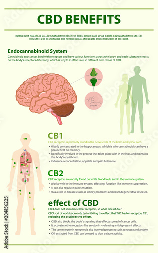 CBD Benefits Human vertical infographic
