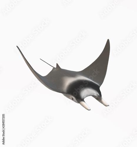 Deep Sea Creature illustration