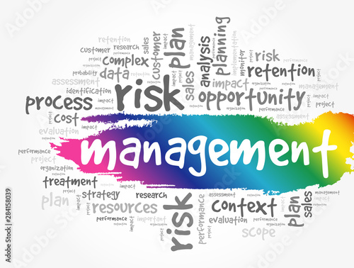 MANAGEMENT word cloud collage, business concept background