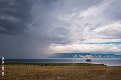 Rain over Lake Baikal and the cows on the shore on a cloudy day. Over the rain and the lake you can see the mountains. On the sky heavy lead clouds. It rains like a wall.