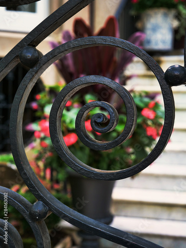 Wrought iron fence detail with blooming flowers behind