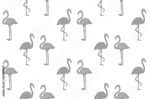 Seamless abstract wallpaper with flamingos. Hand drawn birds. Print for polygraphy, shirts and textiles. Black and white illustration