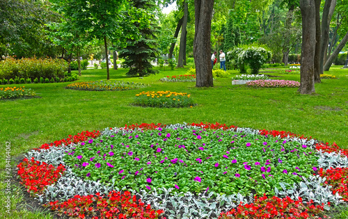 Flower beds in Shevchenko park in Kiev in spring. Ornament of spring flowers © Firefly