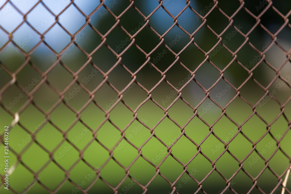 Fototapeta premium Golf Club