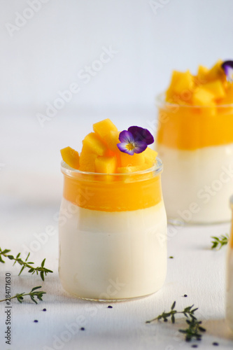 Cuadro en lienzo Italian dessert panna cotta with mango jelly and pieces of fresh mango