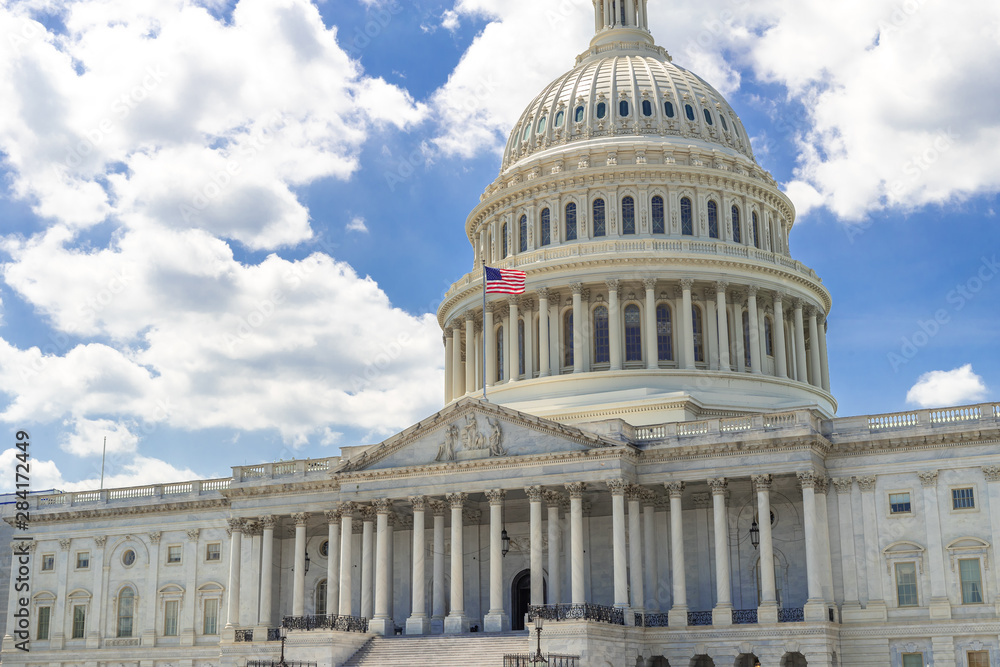 Naklejka premium US Capitol building in Washington DC