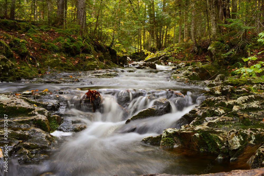 waterfall in forest