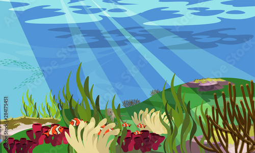 Underwater landscape flat vector illustration