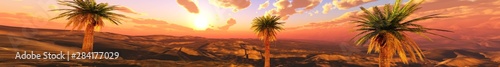 Panorama of a desert landscape at sunset. Sand desert with palm trees under the sky with clouds. Banner. , 3d rendering