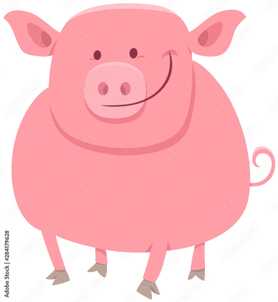 pig animal character cartoon illustration pig animal character cartoon illustration