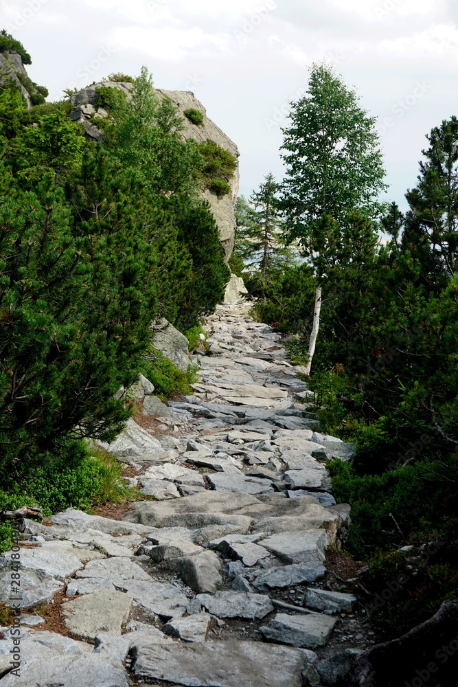 Mountain stone trail through forest in High Tatras. Mountain road in the forest. Journey through the Carpathian forests and mountains Mountain stone trail through forest in High Tatras. Mountain road in the forest. Journey through the Carpathian forests and mountains