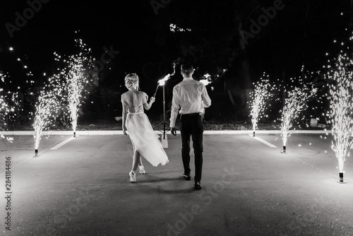 the bride and groom are on the background of fireworks © Евгений Александров