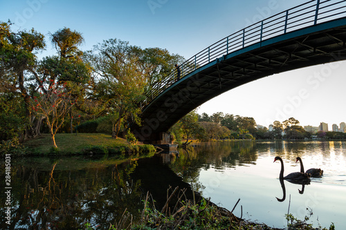 Ponte de Ferro no Parque Ibirapuera em São Paulo, Brasil