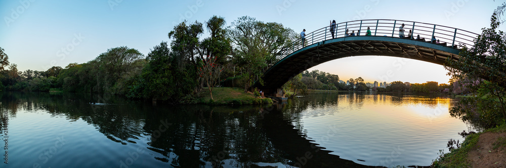 Fototapeta premium Ponte de Ferro no Parque Ibirapuera em São Paulo, Brasil