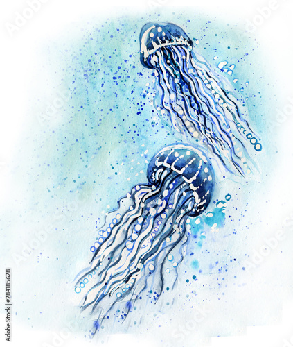 two watercolor jellyfish in blue