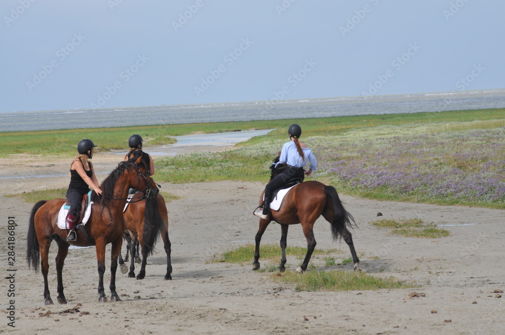 Baie de Somme Baie de Somme