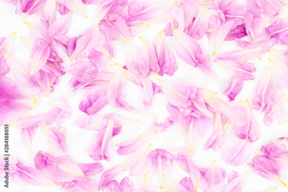 Flower petals backgrounds. Pink peony.