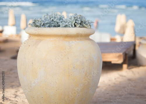 greek pot and plant at the beach © 2207918