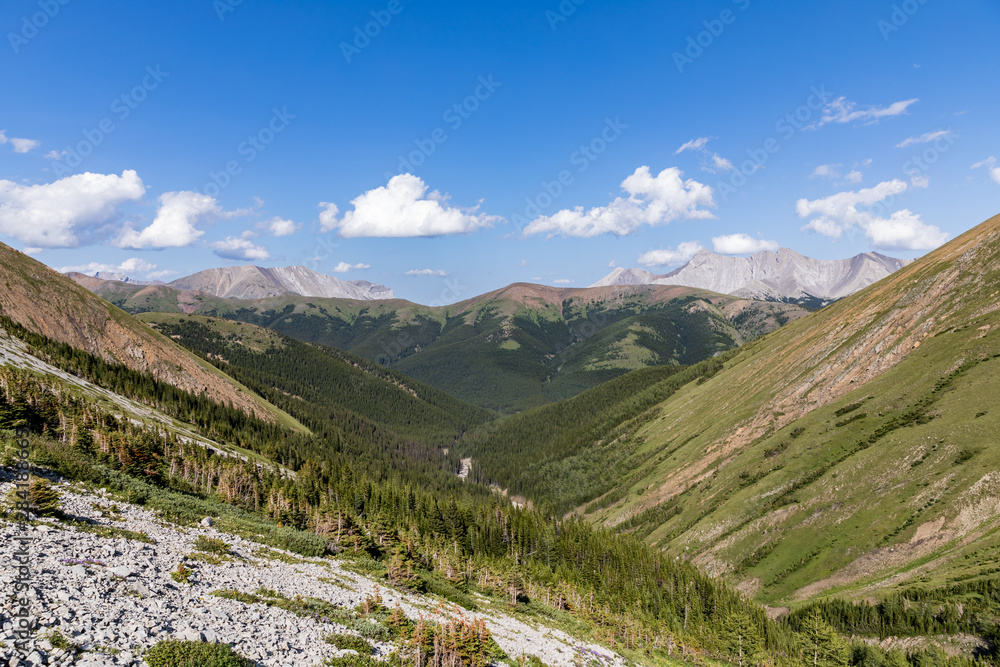 Fototapeta premium Landscape valley view with mountains on the horizon line. Rocky Mountains, Alberta, Canada.