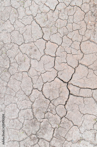 Textured Cracks on Dry Ground