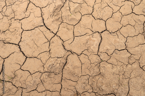 Textured Cracks on Dry Ground
