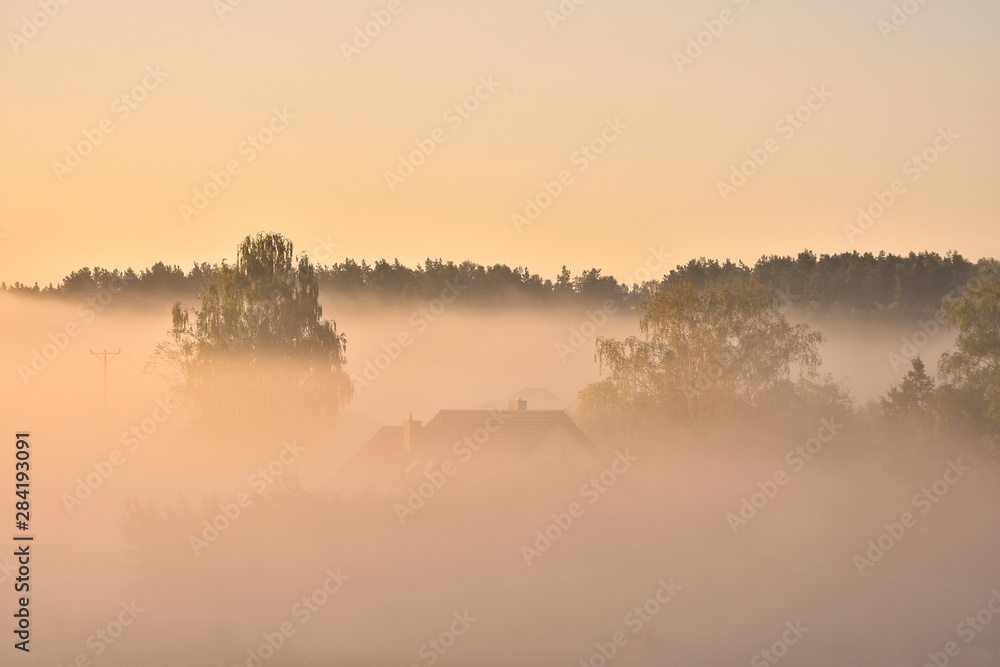 foggy morning. Sunrise