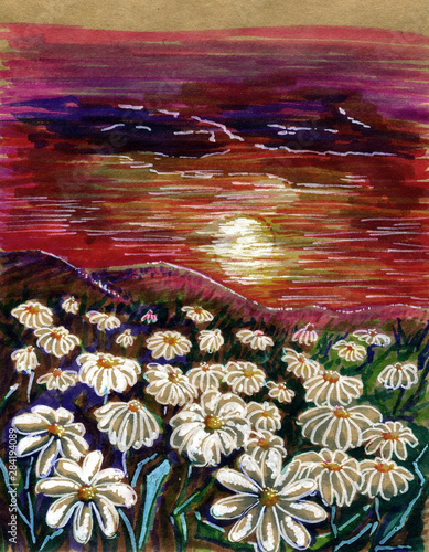 landscape sunset on a camomile field, markers on craft paper
