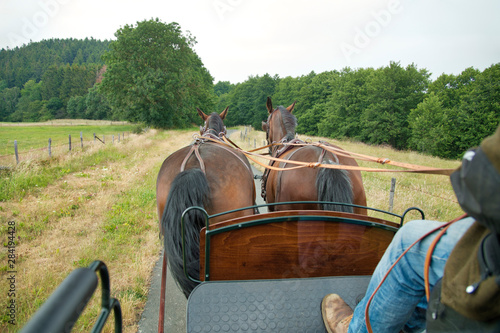 Фотография Two horses (Saxon Thuringian heavy warm blood) pull a carriage into green landscape