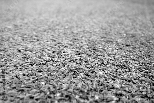 Artificial grass with blur effect in black and white.