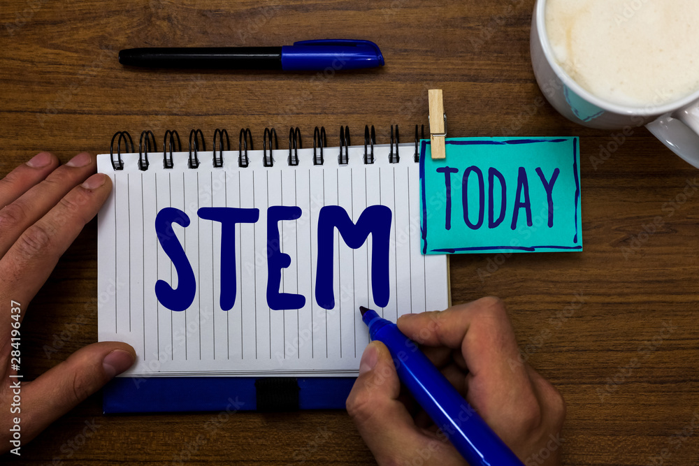 Handwriting text Stem. Concept meaning Development destruction of human embryos for science and research Marker pens notepad cup milk coffee daily memories dairy clip paperclip