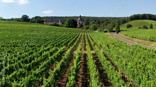 Drone video from German vineyards photo