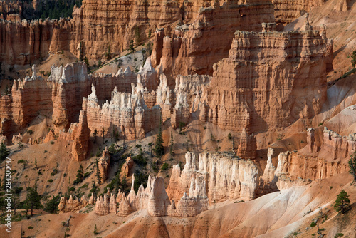 Bryce Canyon, details of the white and red rock formation