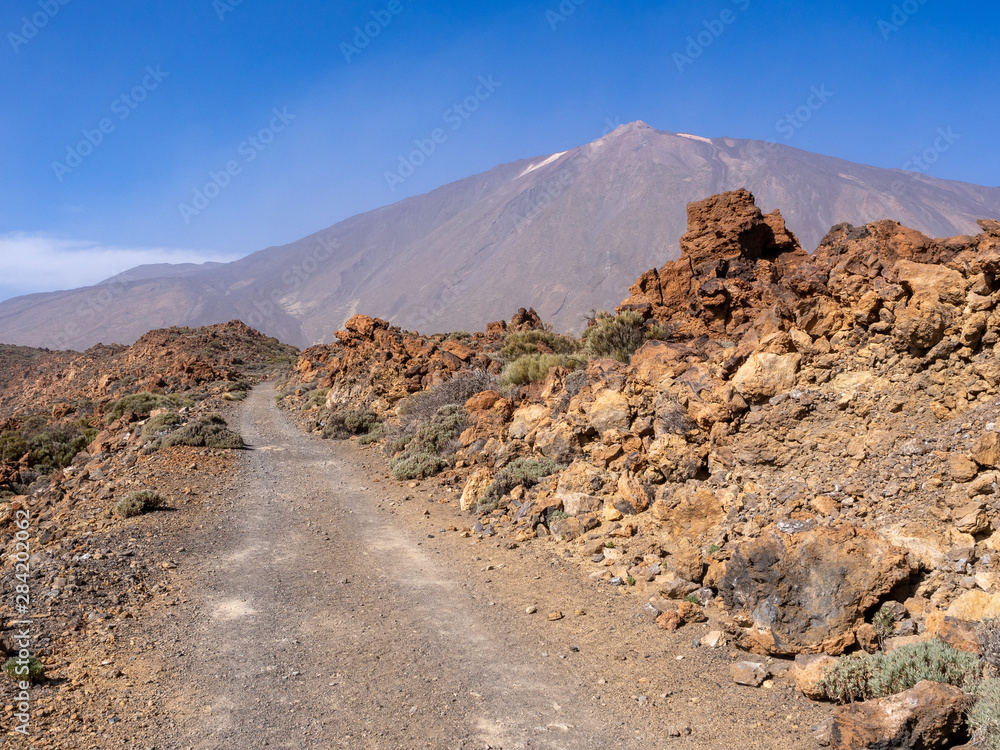 Mount Teide volcano highest peak in Spain from Las Canadas del Teide national park, Tenerife, Canary Islands, Spain