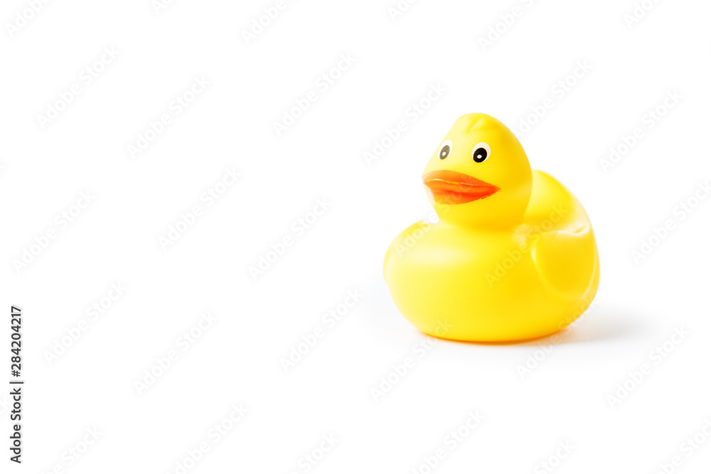 Yellow rubber duck isolated on white background Yellow rubber duck isolated on white background
