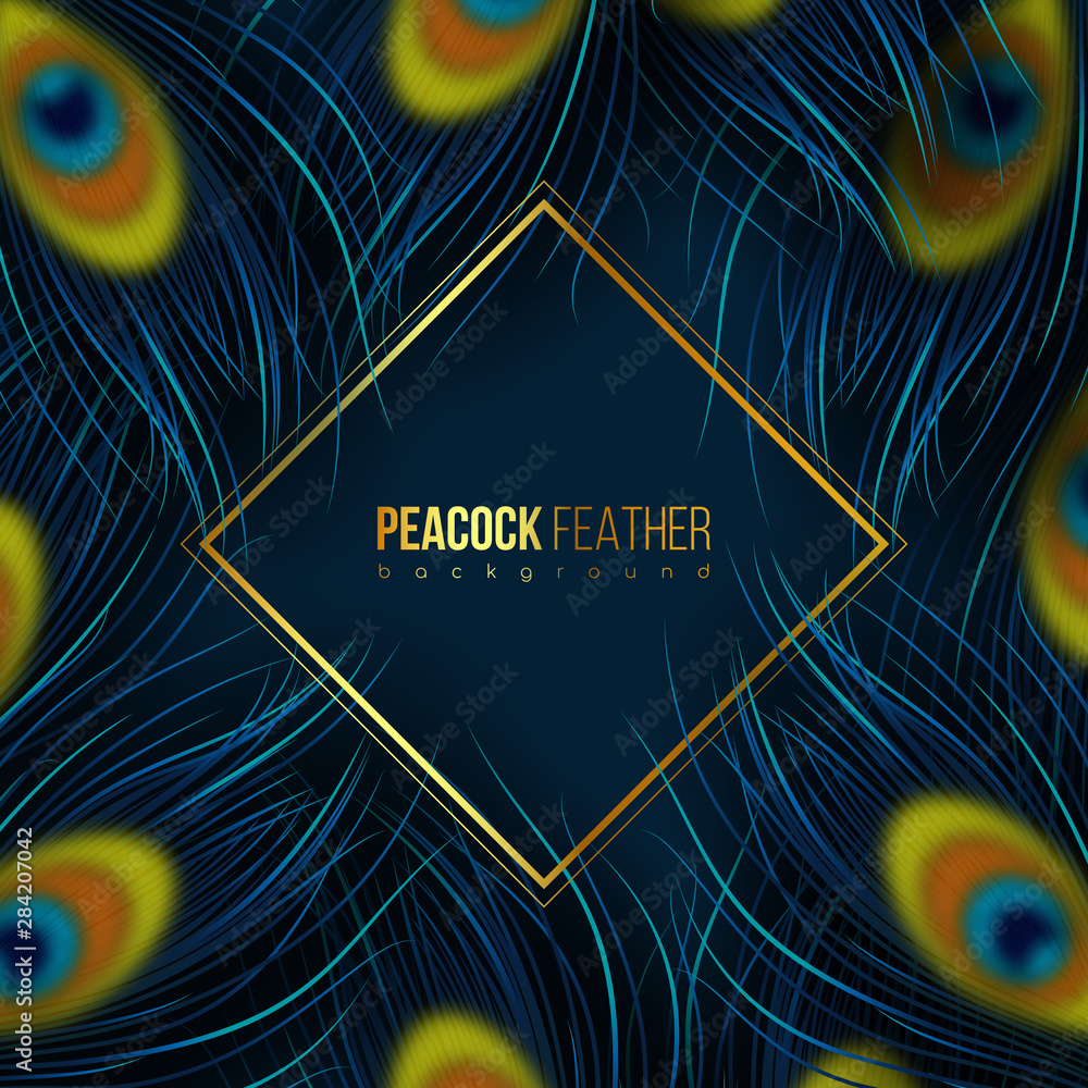 Peacock blue feathers background with golden frame. Place for text.  Abstract composition. Vector illustration. Stock Vector | Adobe Stock