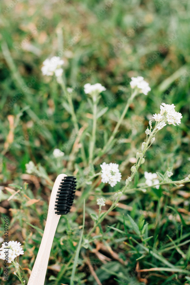 Bamboo Toothbrush with Green Grass Background. Zero waste Bamboo Toothbrush with Green Grass Background. Zero waste