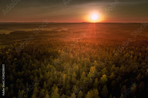 Drone photo of sunrise over forest in North Sweden - golden sun light with beams and shadows. Västerbotten, West Bothnia province, north of Sweden