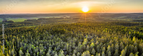 Drone photo of sunrise over forest in North Sweden - golden sun light with beams and shadows. Västerbotten, West Bothnia province, north of Sweden photo