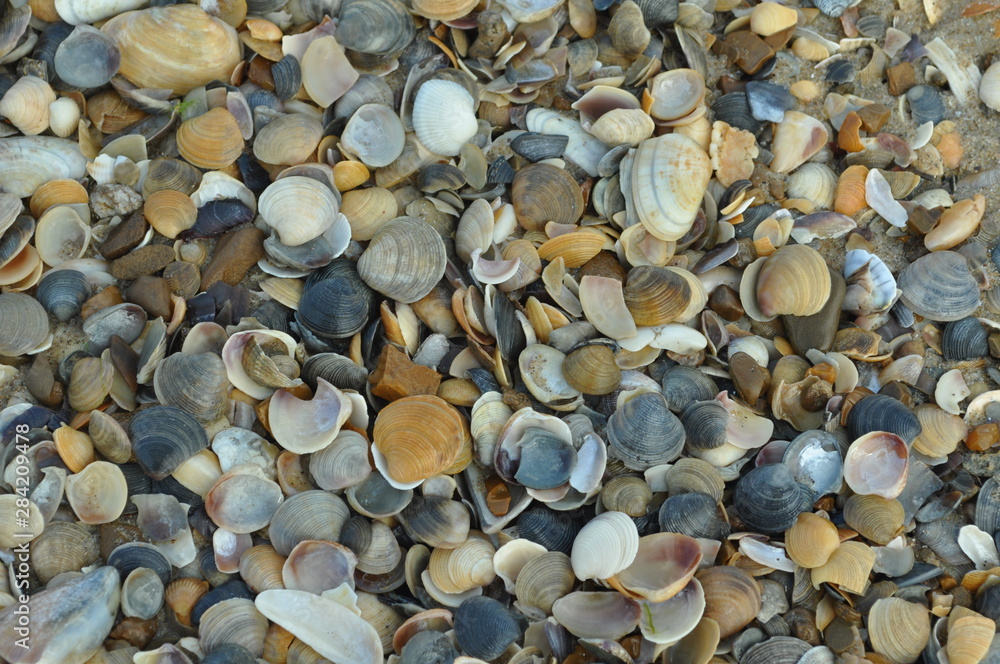 pebbles on the beach pebbles on the beach