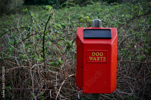 Dog waste disposal bin