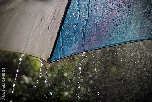 underneath an umbrella during a summer shower